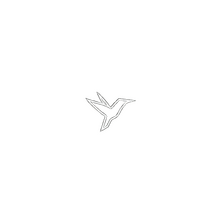 FlyingStringer Friedrichsdorf